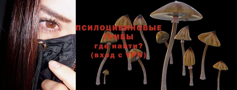 OMG ссылка  купить наркотик  Петропавловск-Камчатский  Псилоцибиновые грибы MAGIC MUSHROOMS 